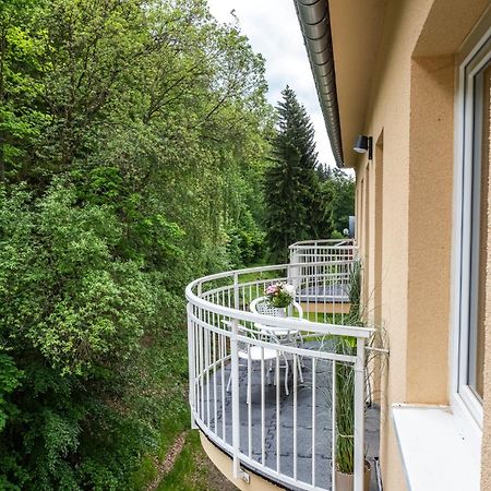 Forest Apartment With Sauna Jáchymov Exterior photo